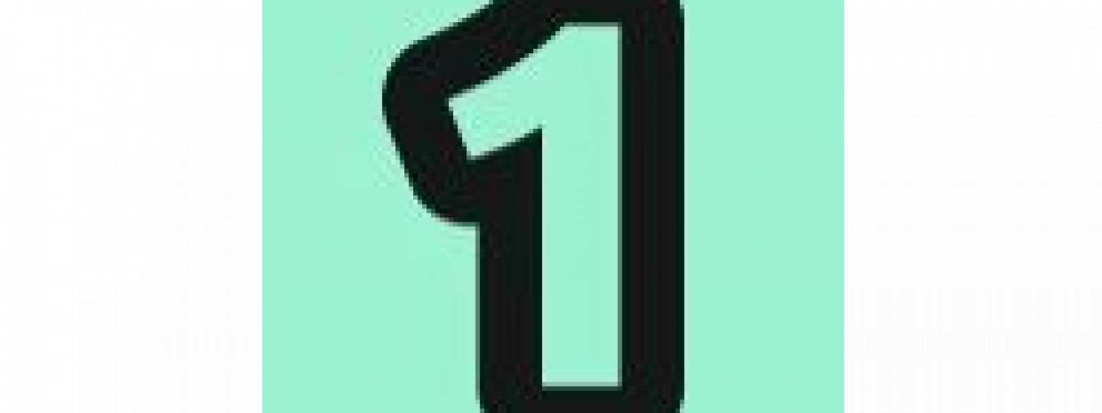 1 Network